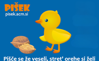 Rezultati šolskega tekmovanja v programiranju z delčki ACM Pišek