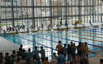 Prvenstvo osnovnih šol Ljubljane v plavanju